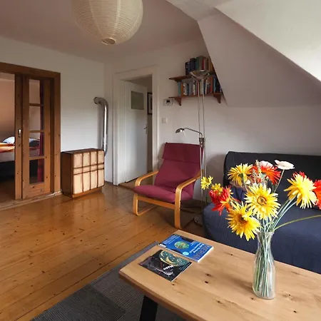 Am Landesmuseum * Halle (Saale)